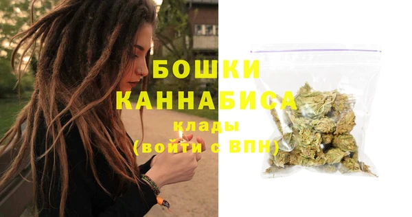 амф Новодвинск