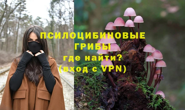 ECSTASY Няндома