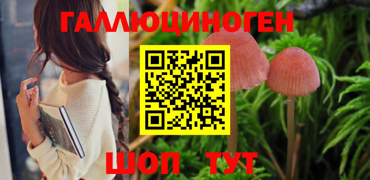 Псилоцибиновые грибы Magic Shrooms Стрежевой